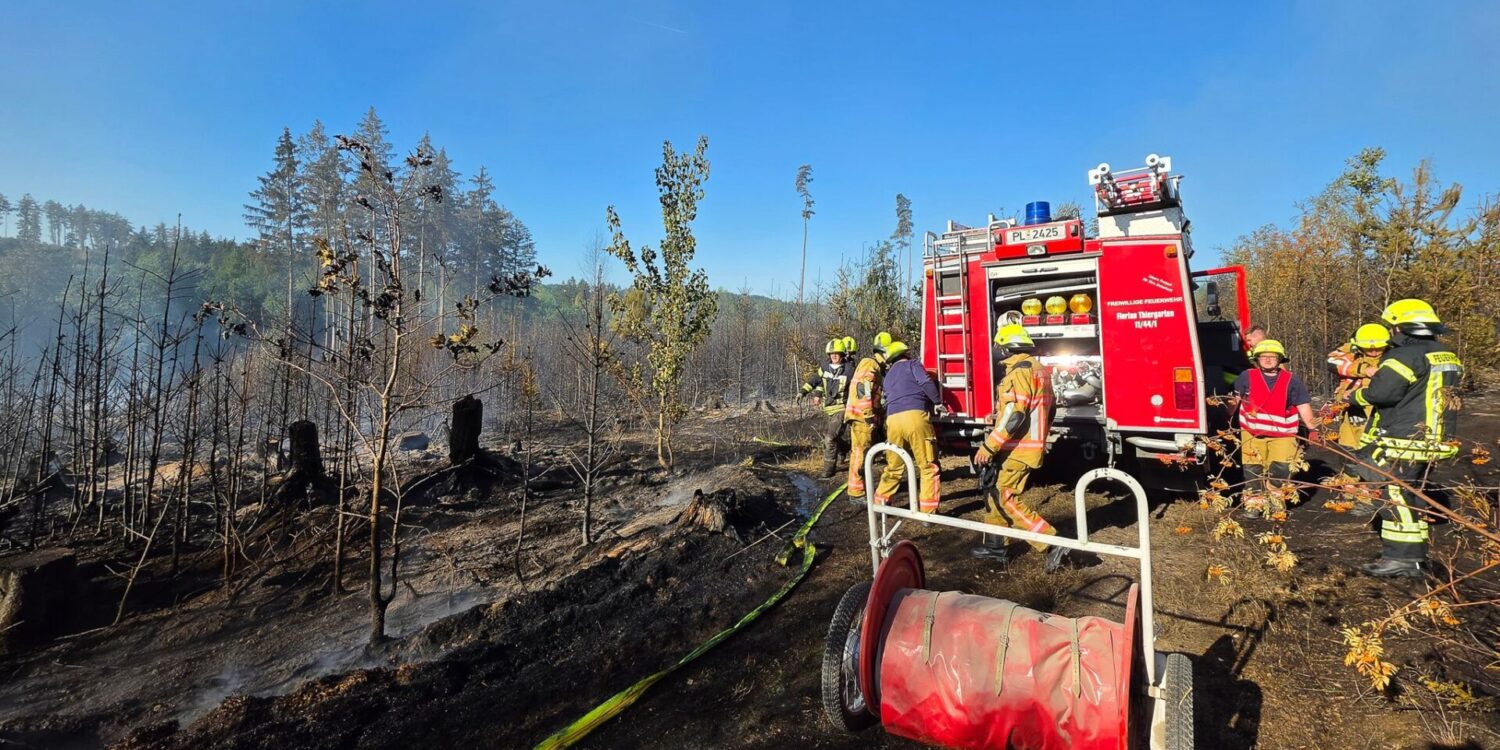 Feuerwehr kämpft gegen Waldbrand auf sieben Hektar im Vogtland