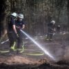 Im Hürtgenwald werden noch Brandnester bekämpft.