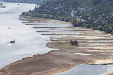 Folge des ungewöhnlich heißen Sommers: Der Rhein führt extrem wenig Wasser.