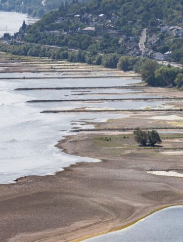Folge des ungewöhnlich heißen Sommers: Der Rhein führt extrem wenig Wasser.