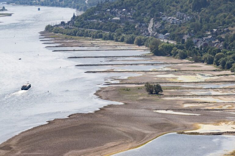 Folge des ungewöhnlich heißen Sommers: Der Rhein führt extrem wenig Wasser.