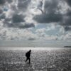 Tobias Goldschmidt (Bündnis 90/ Die Grünen), Umweltminister von Schleswig-Holstein, geht bei einer Wattwanderung der Nationalparkverwaltung von Dagebüll auf die Hallig Oland durch das auflaufende Wasser zurück nach Dagebüll.