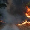 Flammen schlagen im Hürtgenwald hoch.