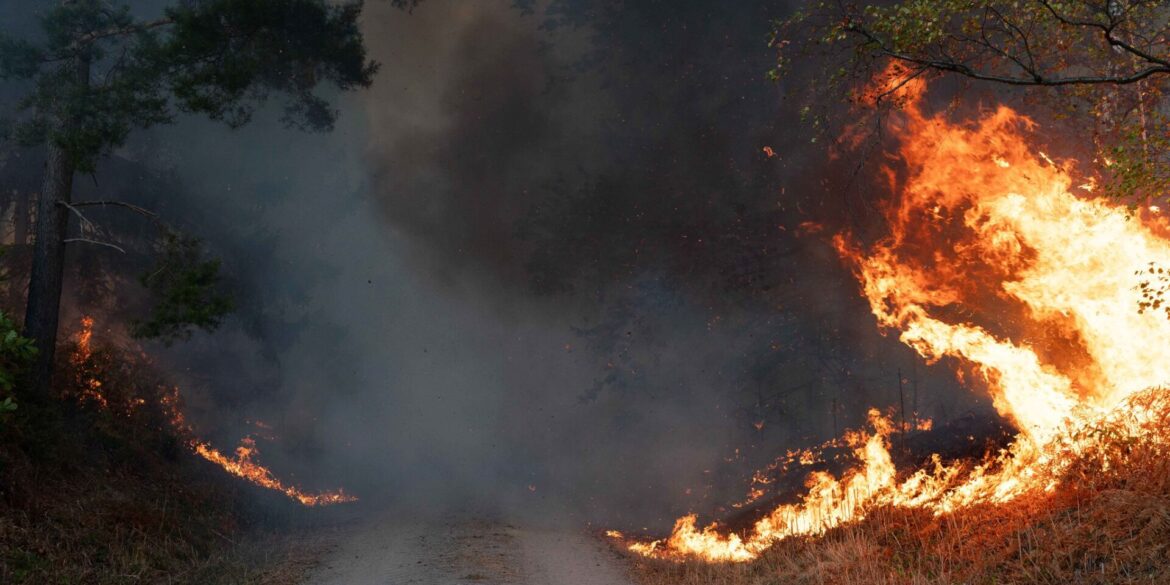 Flammen schlagen im Hürtgenwald hoch.