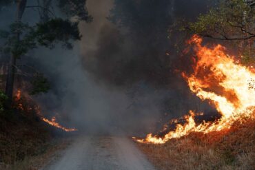 Flammen schlagen im Hürtgenwald hoch.