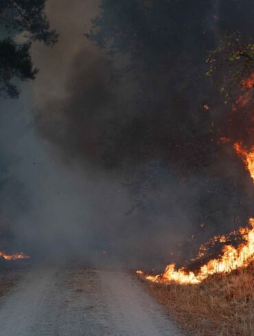 Flammen schlagen im Hürtgenwald hoch.