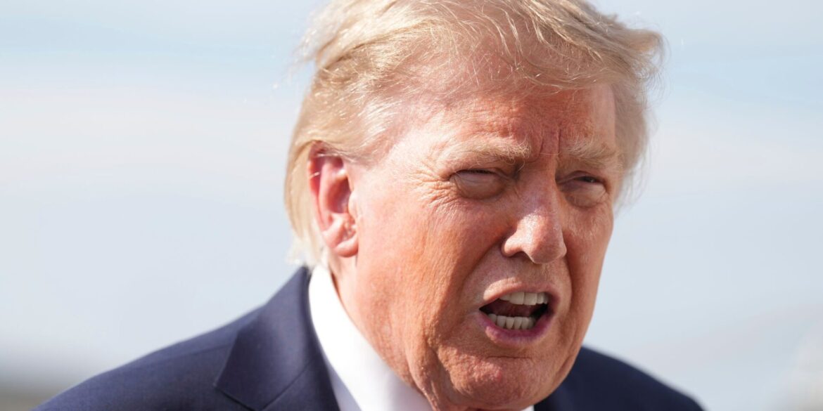 Per Präsidentendekret will Donald Trump das US-Stromnetz besser vor Gefahren aus dem Ausland schützen. (Archiv)