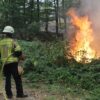 Feuerwehrkräfte kämpfen gegen Waldbrand im Hürtgenwald