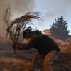 Hunderte Feuerwehrleute, aber auch viele Freiwillige sind in Griechenland im Dauereinsatz.