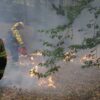 Mehrere Hundert Hektar Waldfläche stehen in Flammen.