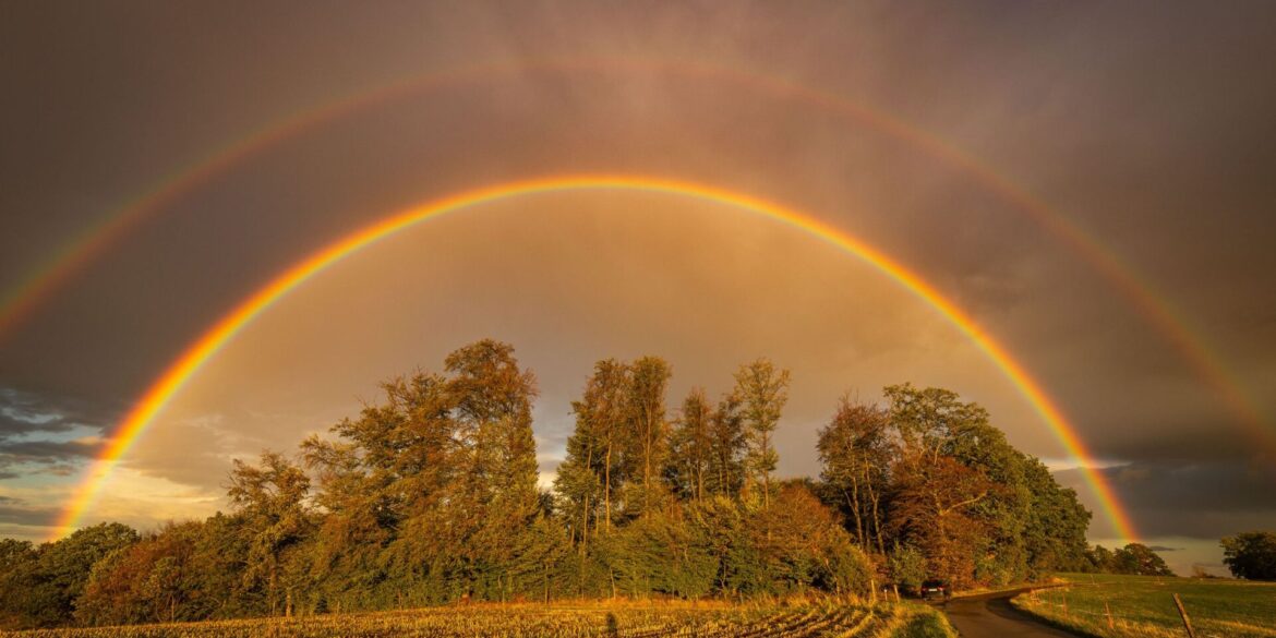 Ein Regenbogen strahlt im Abendlicht in Baden-Württemberg.