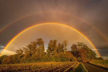 Ein Regenbogen strahlt im Abendlicht in Baden-Württemberg.