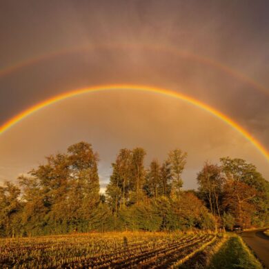 Ein Regenbogen strahlt im Abendlicht in Baden-Württemberg.