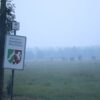 Dichter Rauch im deutsch-belgischen Grenzgebiet durch den Brand im Hohen Venn