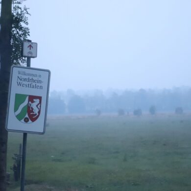 Dichter Rauch im deutsch-belgischen Grenzgebiet durch den Brand im Hohen Venn
