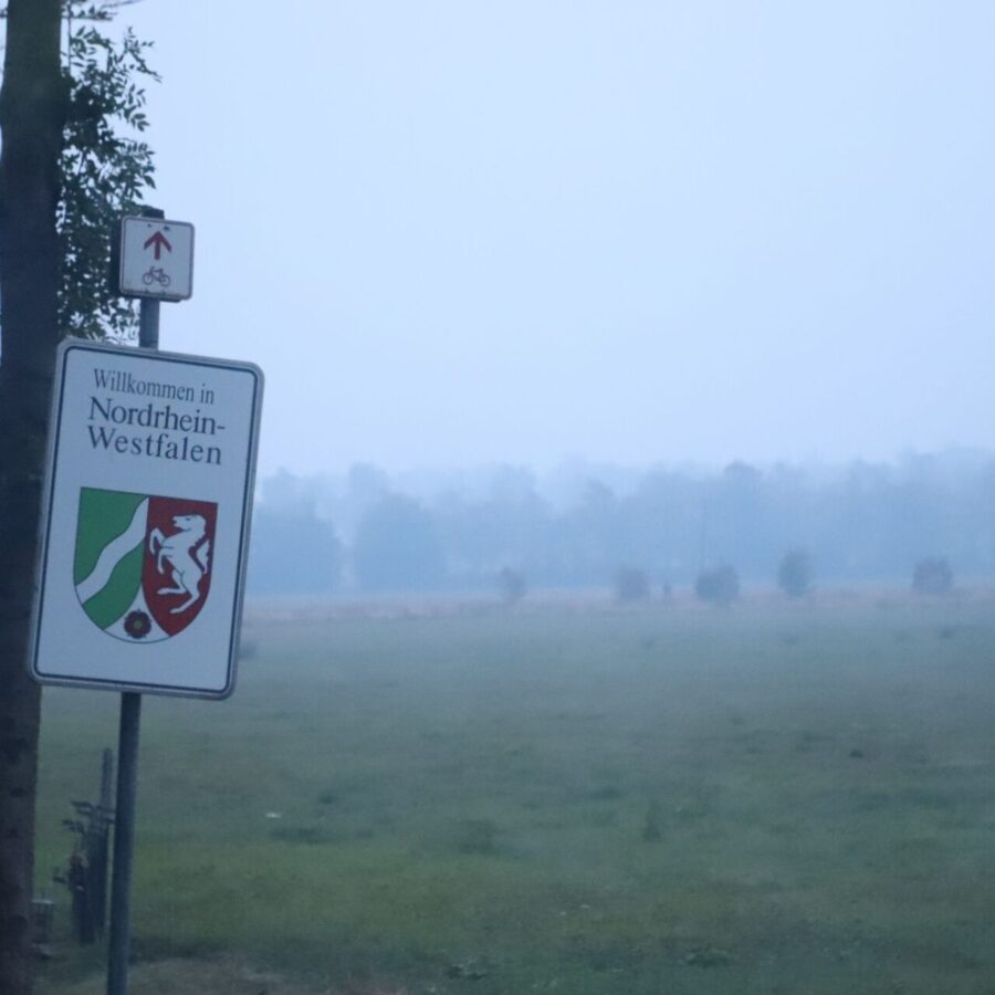Dichter Rauch im deutsch-belgischen Grenzgebiet durch den Brand im Hohen Venn