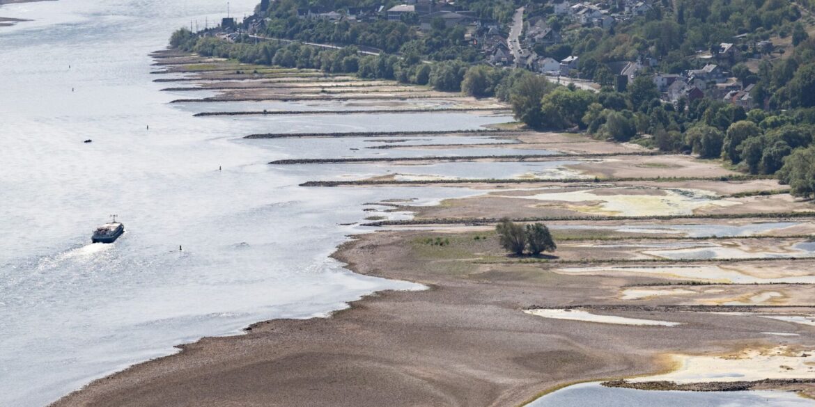 Das Niedrigwasser auf wichtigen Wasserstraßen wie dem Rhein ist eine Belastung für die deutsche Wirtschaft. (Archivbild)