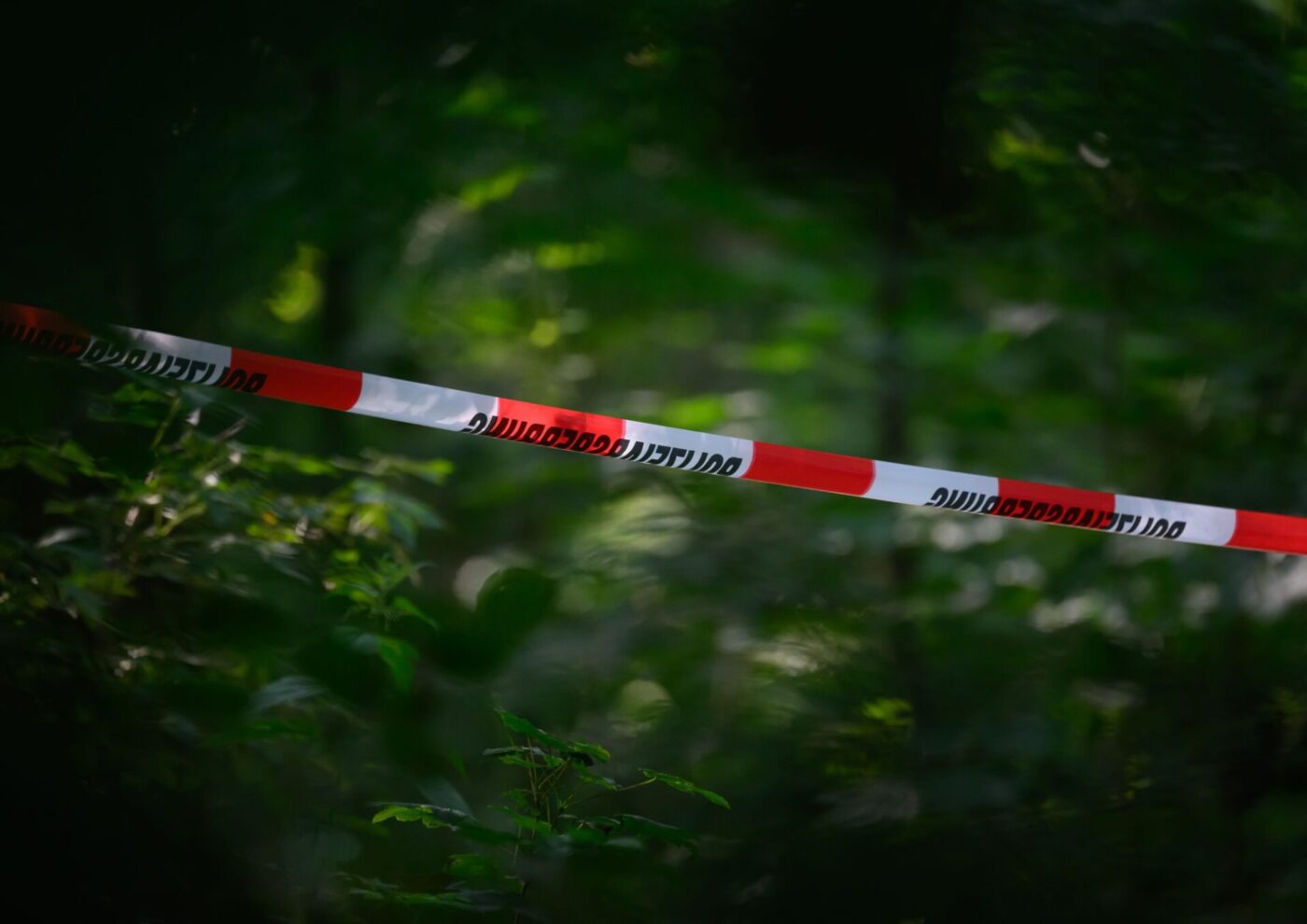 Der Fund in einem Wald bei Berlin hat Ermittlungen ausgelöst, die bis hin zu mutmaßlichen Anschlagsplänen führen (Archivbild).