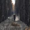Ein Feuerwehrmann geht während der Waldbrände im Südwesten Frankreichs durch einen verkohlten Wald in der Nähe von Blagon.