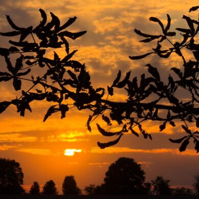 Sonnenuntergang Ende September