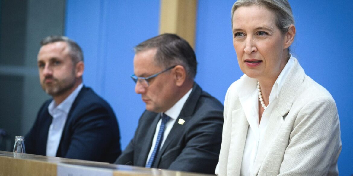 Will gegen irreguläre Migration vorgehen: AfD-Co-Chefin Alice Weidel.