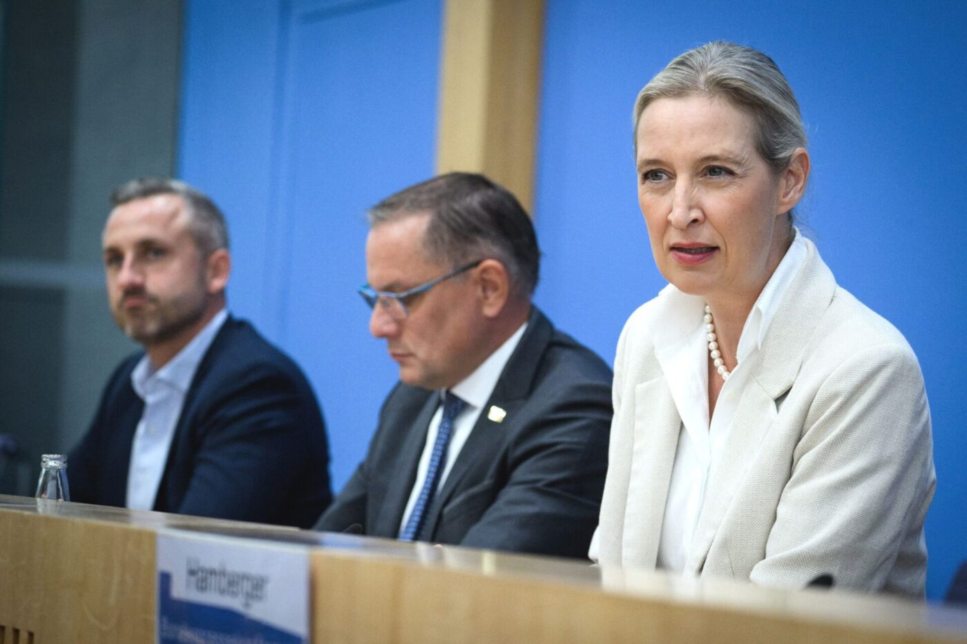 Will gegen irreguläre Migration vorgehen: AfD-Co-Chefin Alice Weidel.