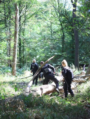 Die Polizei sucht mitten im Wald nach dem Verdächtigen.