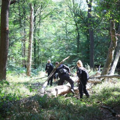 Die Polizei sucht mitten im Wald nach dem Verdächtigen.
