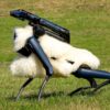 Robo-Schaf auf der Halde Hoheward im Ruhrgebiet