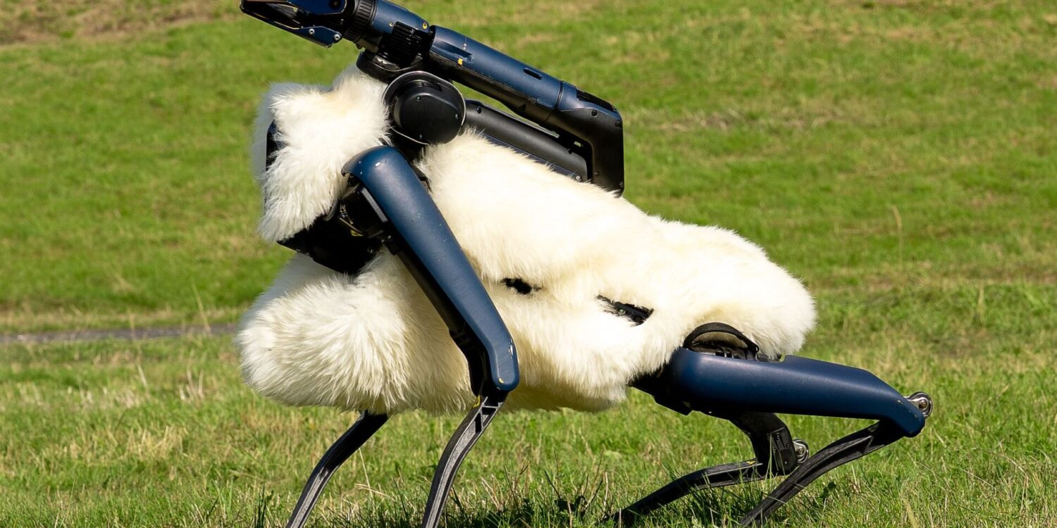 Robo-Schaf auf der Halde Hoheward im Ruhrgebiet
