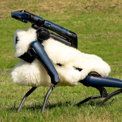 Robo-Schaf auf der Halde Hoheward im Ruhrgebiet