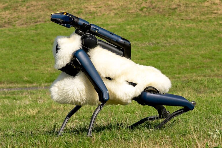 Robo-Schaf auf der Halde Hoheward im Ruhrgebiet