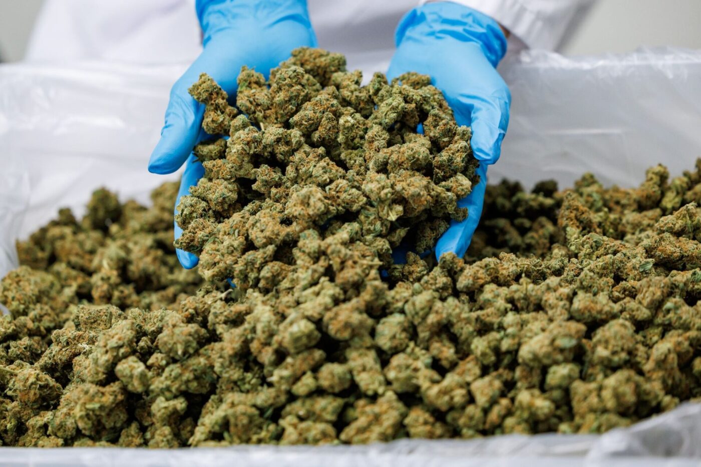Importe von Medizinal-Cannabis steigen stark. (Archivbild)