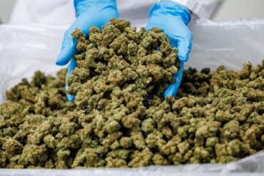 Importe von Medizinal-Cannabis steigen stark. (Archivbild)