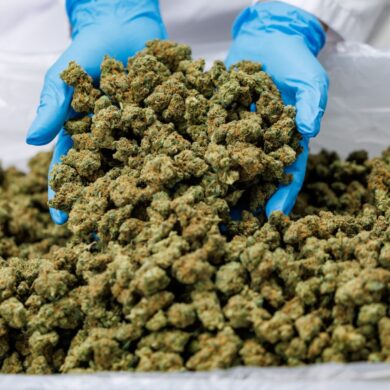 Importe von Medizinal-Cannabis steigen stark. (Archivbild)