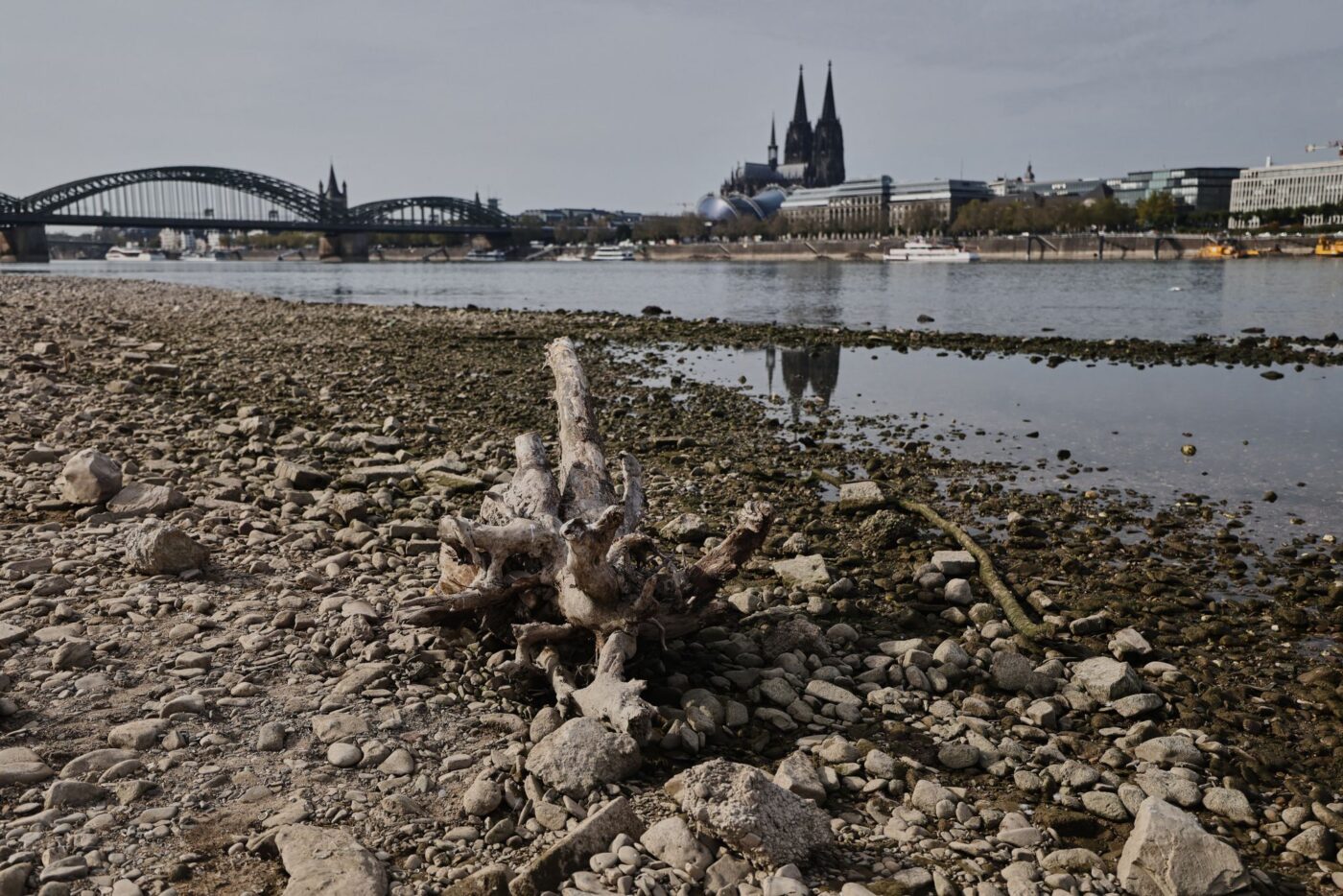 Das Niedrigwasser am Rhein bremste die deutsche Wirtschaft - dennoch legte sie im Sommer zu. (Archivbild)