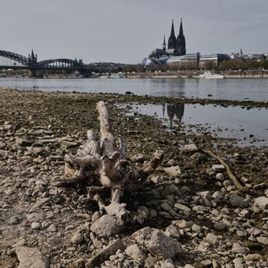 Das Niedrigwasser am Rhein bremste die deutsche Wirtschaft - dennoch legte sie im Sommer zu. (Archivbild)
