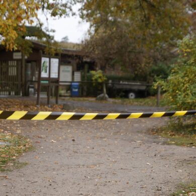 Ein Teil des Wildparks ist abgesperrt.