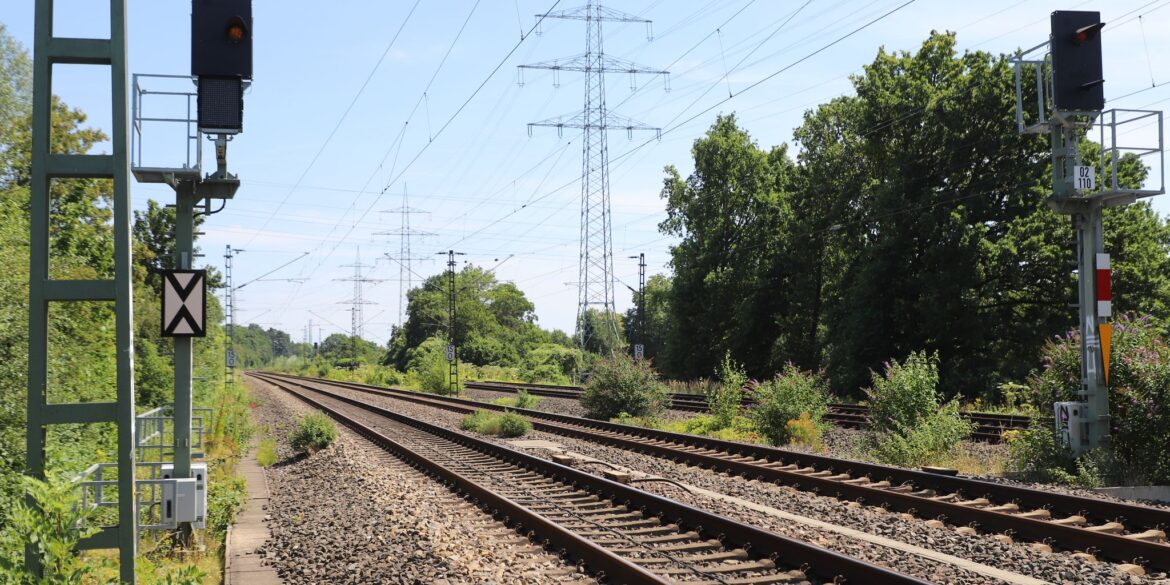2023 hat die Bahn den Einsatz von Glyphosat eingestellt - und macht nun die Kehrtwende. (Archivbild)