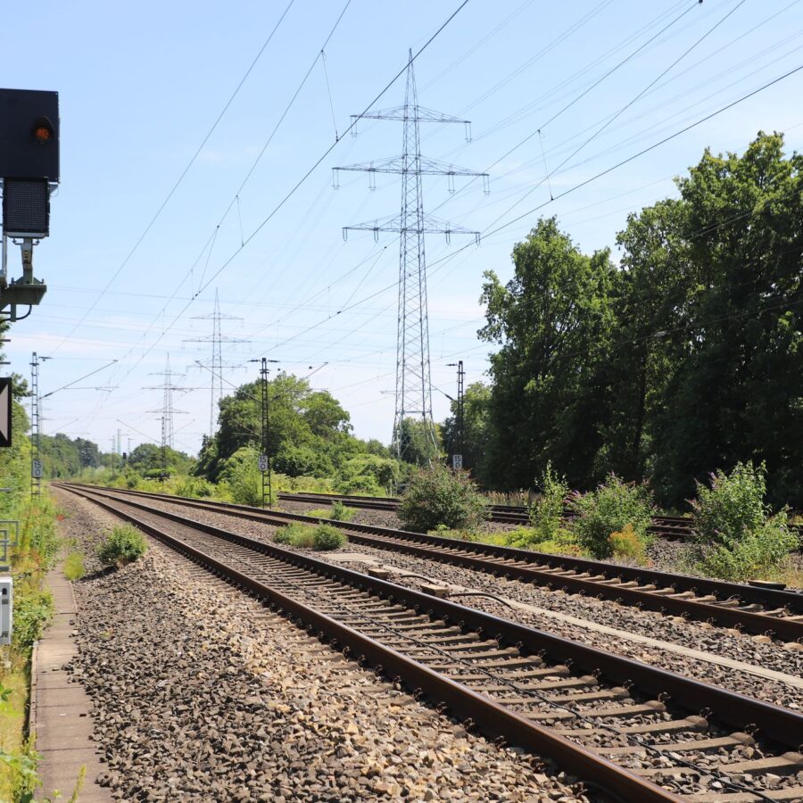 2023 hat die Bahn den Einsatz von Glyphosat eingestellt - und macht nun die Kehrtwende. (Archivbild)