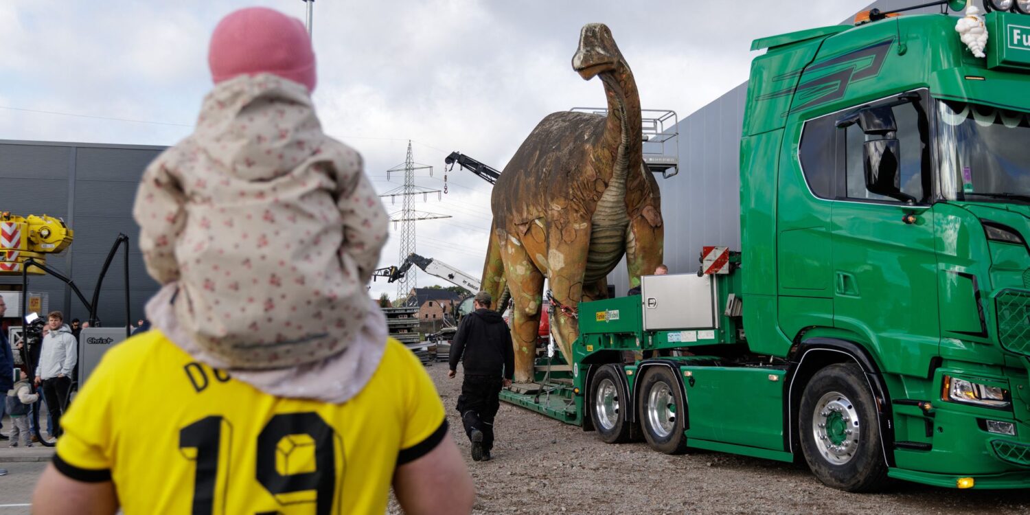 Die Dinosaurier-Dame „eLise“, ein lebensgroßer Camarasaurus aus Stahl und Beton, wird von ihrem bisherigen Standort bei den Saurierfährten Barkhausen in Bad Essen nach Damme transportiert.
