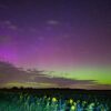 Polarlichter leuchten am Nachthimmel über der Landschaft im östlichen Brandenburg.
