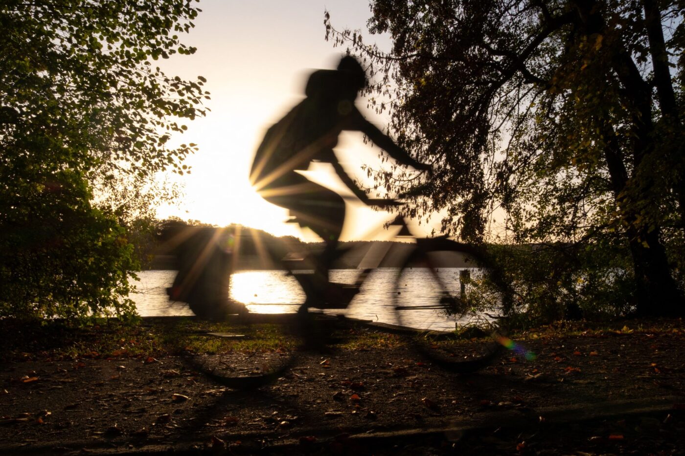Ein Fahrradfahrer fährt bei Sonnenaufgang am Ufer des Templiner Sees entlang.