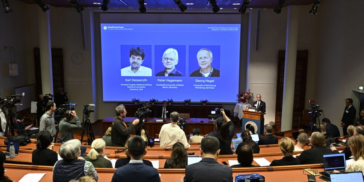 Der Nobelpreis für Medizin geht in diesem Jahr an die beiden Deutschen Peter Hegemann und Georg Nagel sowie den US-Forscher Karl Deisseroth.