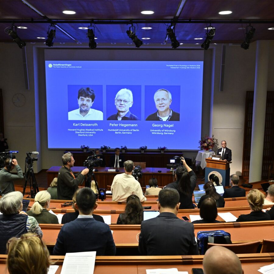 Der Nobelpreis für Medizin geht in diesem Jahr an die beiden Deutschen Peter Hegemann und Georg Nagel sowie den US-Forscher Karl Deisseroth.